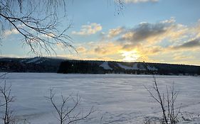 Kaamos City House